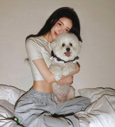 무료스포츠중계를 포함한 다양한 스포츠중계 시청 가능