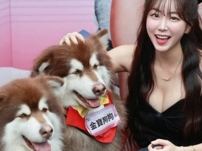 [스포츠중계 좀비티비] 요즘 폼 좋은 치어리더 안지현